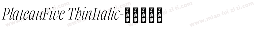 PlateauFive ThinItalic字体转换